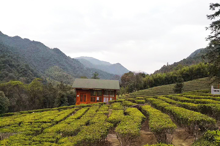 华之航-姑婆山之旅